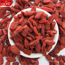 2017 ningxia großhandel frische goji Berry 350